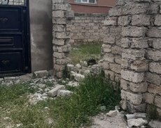 Suraxanı r., Hövsan q.