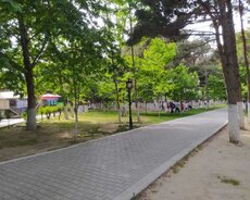 Xırdalan, Kafe icareye verilir