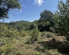 Quba, Tengealtı 10 sot torpaq sahesi satılır