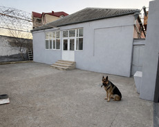Sabunçu r., Bakixanov q.