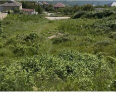 Şamaxı, Şamaxıda torpaq sahəsi satılır