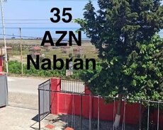 Nabran, Nabran Gunluk ev