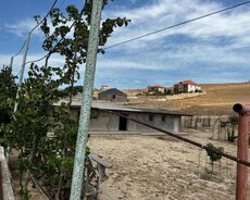 Saatlı, Saatlı ray.110 hektarda ferma satılır