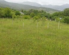 İsmayıllı, Torpag satilr