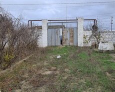 Xəzər r., Buzovna q.
