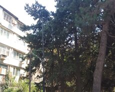 Yasamal r., İnşaatçılar m.