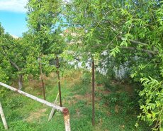 Abşeron r., Novxanı q.