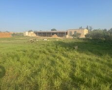 Sumqayıt, 200 sot torpaq sahəsi, Sumqayıt ş