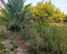 Sabunçu r., Nardaran q.