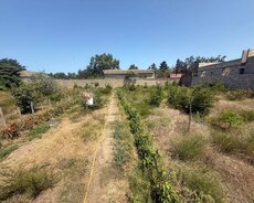 Sabunçu r., Maştağa q.