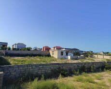 Sabunçu r., Nardaran q.