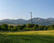 İsmayıllı, Torpag satilir