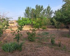 Abşeron r., Ceyranbatan q.