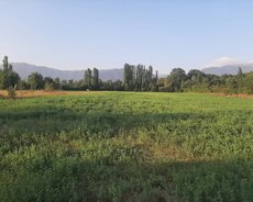 İsmayıllı, İsmayıllıda torpaq