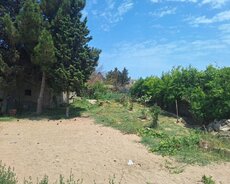 Sabunçu r., Nardaran q.