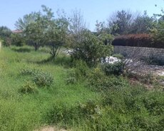 Sabunçu r., Nardaran q.