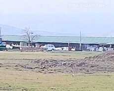 Göyçay, Ağsuda.ferma bütün avadanlı lsatılır