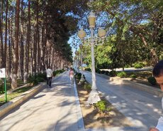 Xırdalan, Kafe icareye verilir