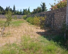 Xəzər r., Buzovna q.
