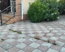 Sabunçu r., Maştağa q.