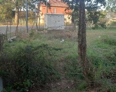 Lənkəran, Meyvə ağacları olan torpaq satılır