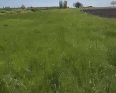 Quba, torpaq satılır