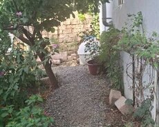 Xəzər r., Buzovna q.