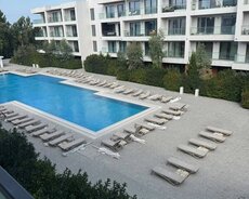 Sabunçu r., Nardaran q.
