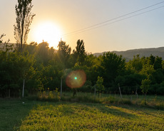 İsmayıllı, Torpag satilr