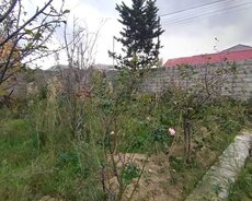 Sabunçu r., Maştağa q.