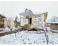 Villa kirayə verilir, Qəbələ r